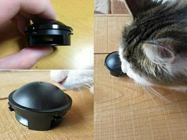Diệt dán hiệu quả hộp 12 viên