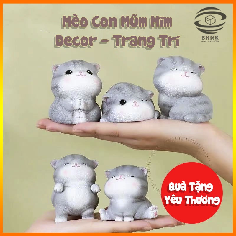 Mô hình tượng 5 mèo con biểu cảm đáng yêu dùng để decor, trang trí