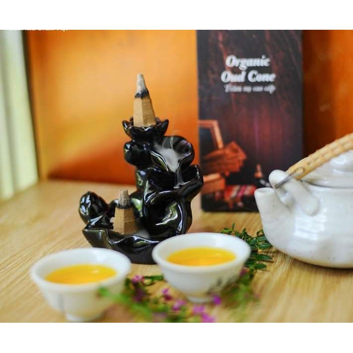 Trầm nụ Hoàng Giang - Không chứa hoá chất, hương gỗ trầm tự nhiên, dùng với thác khói trầm hương - hộp 24 nụ | BigBuy360 - bigbuy360.vn