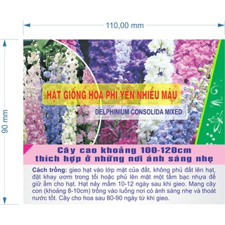 Hạt giống Hoa Phi Yến Nhiều Màu