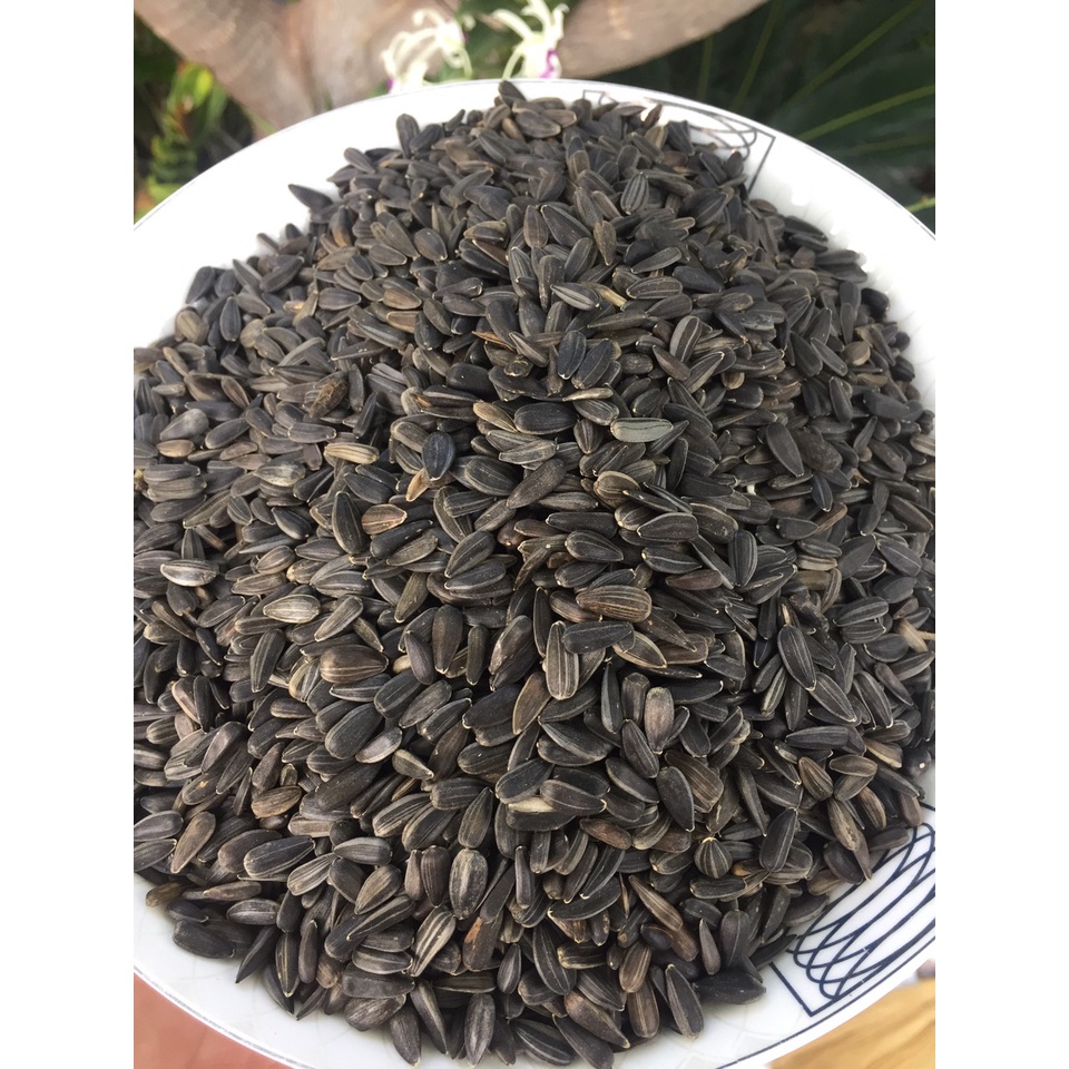 100g hạt hướng dương nhỏ cho hamster, vẹt, chim nhỏ