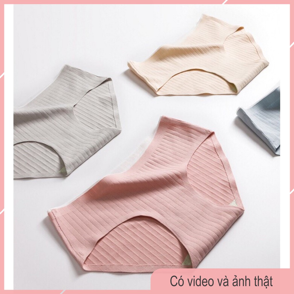Quần Lót Cotton Gân Tăm Không Đường May Kháng Khuẩn CT06 | BigBuy360 - bigbuy360.vn