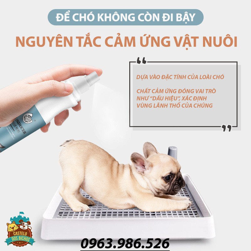 Chai Xịt Định Vị Nơi Đi Vệ Sinh Cho Chó Mèo Đúng Chỗ Chính Hãng 150ml