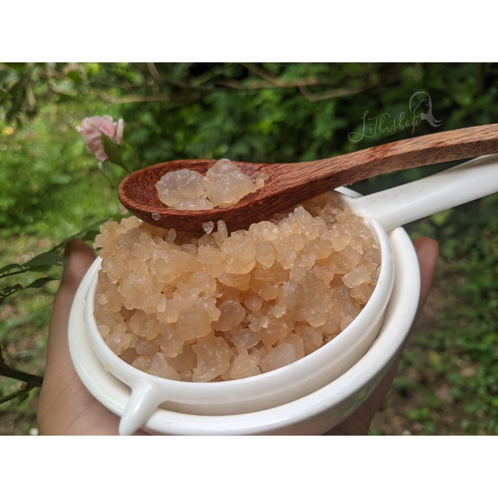 Nấm nước kefir (Water kefir, TIBICOS)