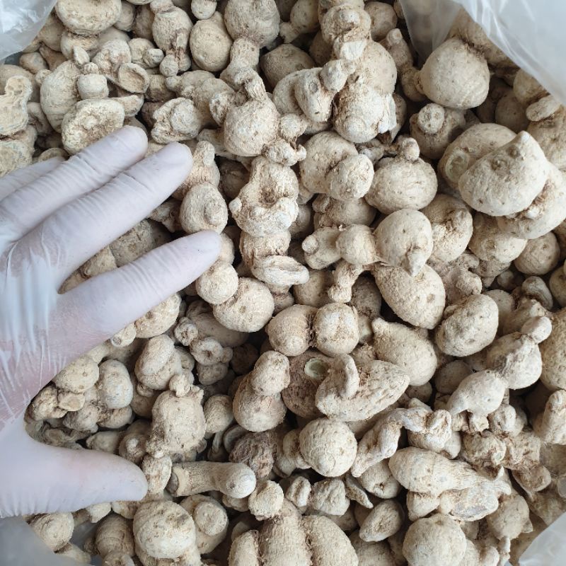 Tam thất nam khô 1kg