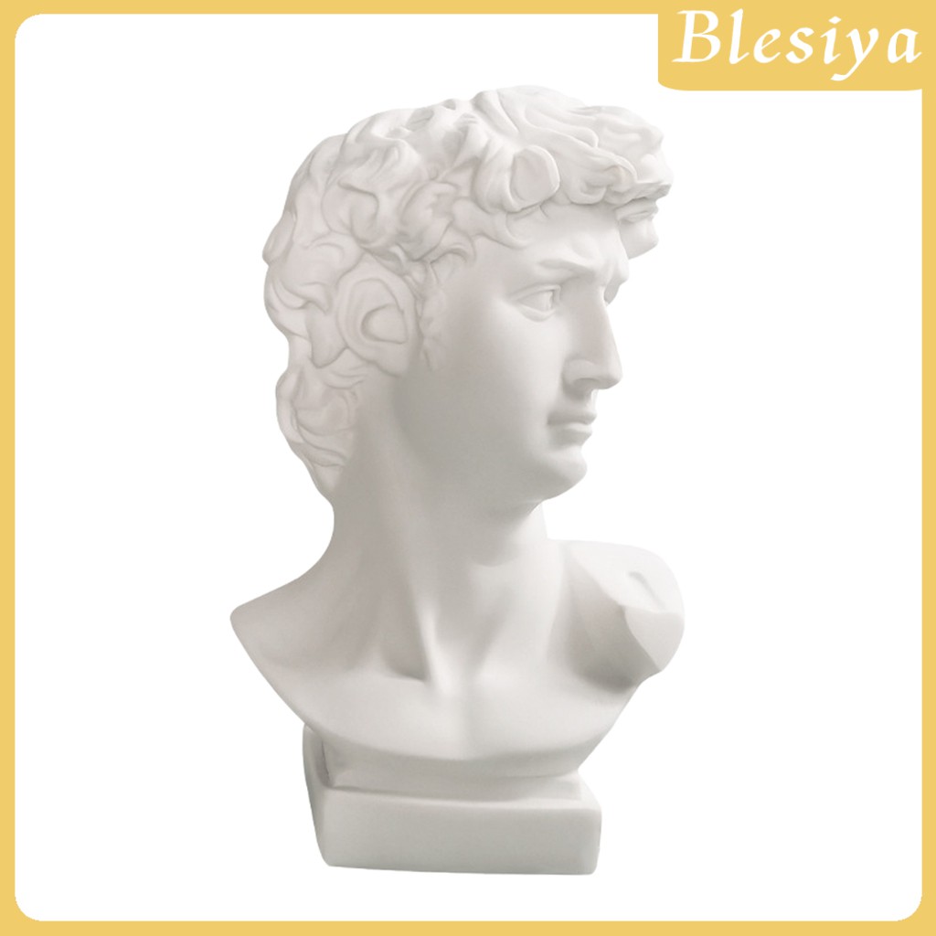 [Blesiya] Bình Hoa Hình Đầu David Trang Trí Chậu Hoa