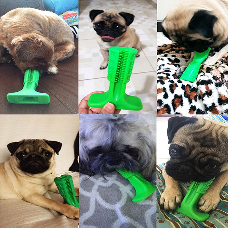 Size M/L/XL Đồ cắn mài răng cho thú cưng Pet Rubber Molar Stick
