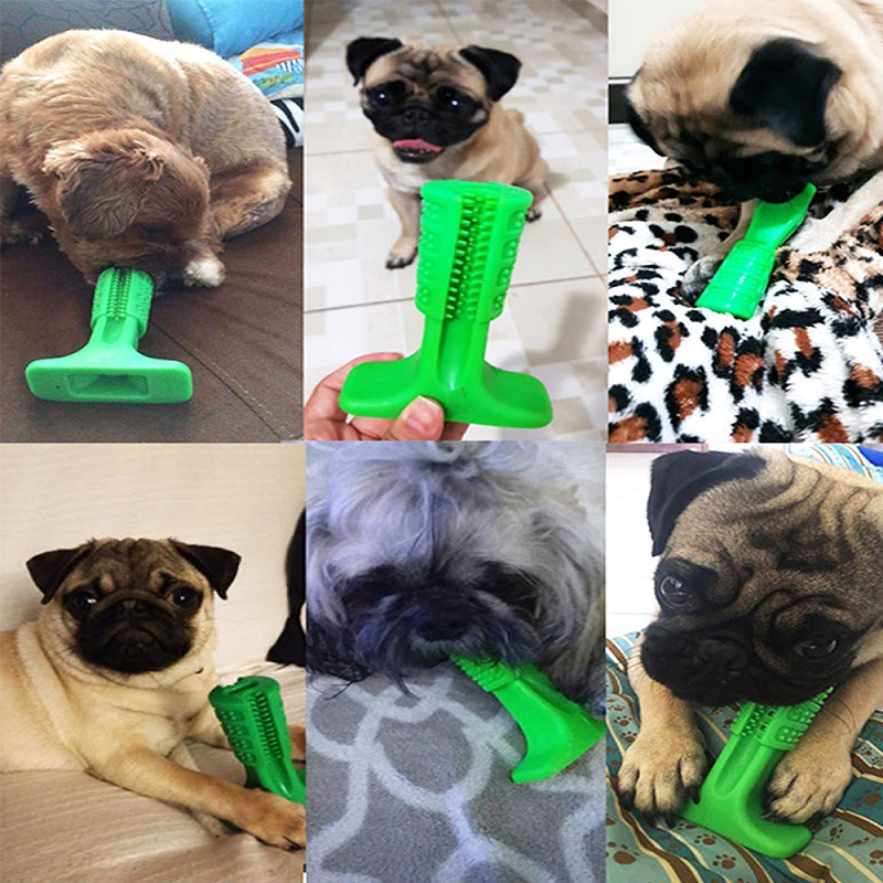 【Có hàng sẵn】Size M/L/XL Đồ cắn mài răng cho thú cưng Pet Rubber Molar Stick