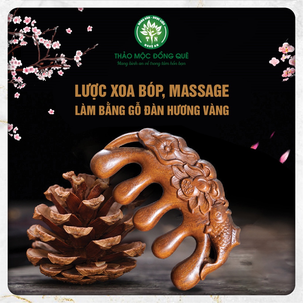 Lược Chải Tóc Massage Da Đầu Cổ Vai Gáy Bằng Gỗ Đàn Hương Vàng Thảo Mộc Đồng Quê