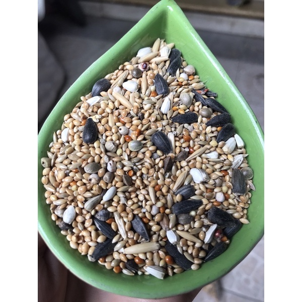1kg Hạt cho lovebird, Cockatiel, parrotlet, các dòng vẹt nhỏ
