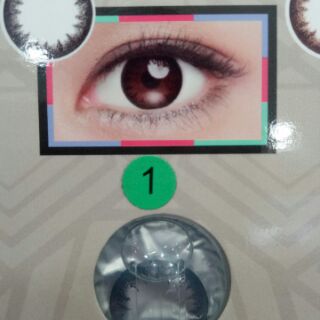 Lens 1 ngày hàng chính hãng