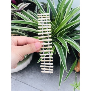 Phụ kiện cầu gỗ trang trí tiểu cảnh terrarium
