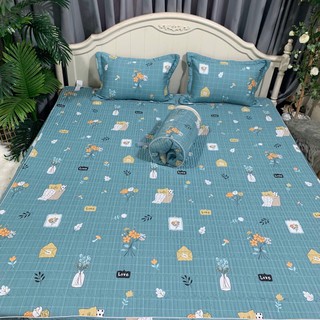 Combo ga chun trần 2 bo 1m6x2m và 2 bộ 1m8x2m