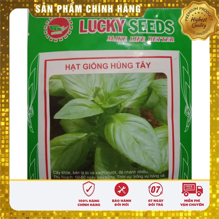 Hạt giống rau húng tây thơm LUCKY SEEDS