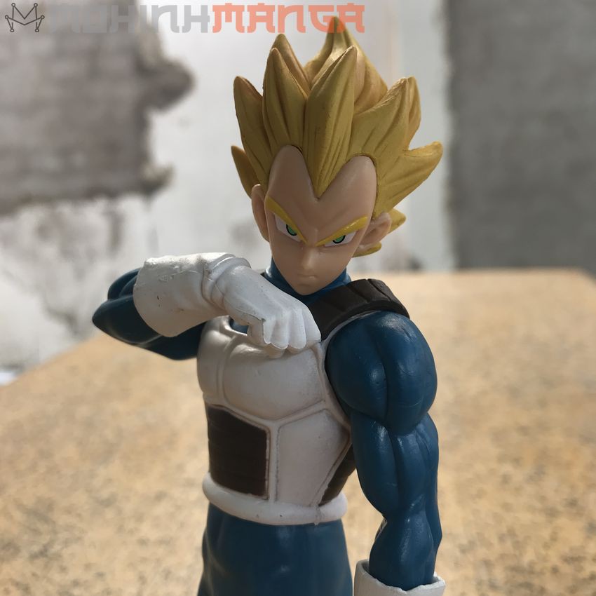 [CÓ QUÀ TẶNG] Mô hình Vegeta Cadic cao 18 cm - Dragon Ball (7 Viên Ngọc Rồng) Figure SuperSaiyan Bảy Viên Ngọc Rồng lớn