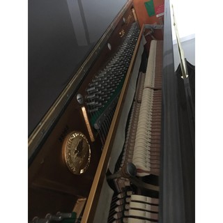 Đàn piano Steinrich