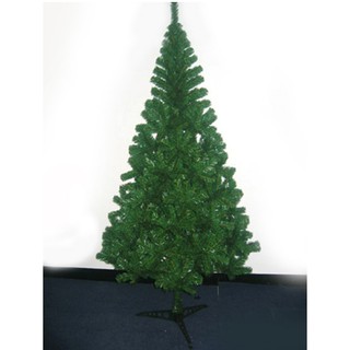 Cây thông noel