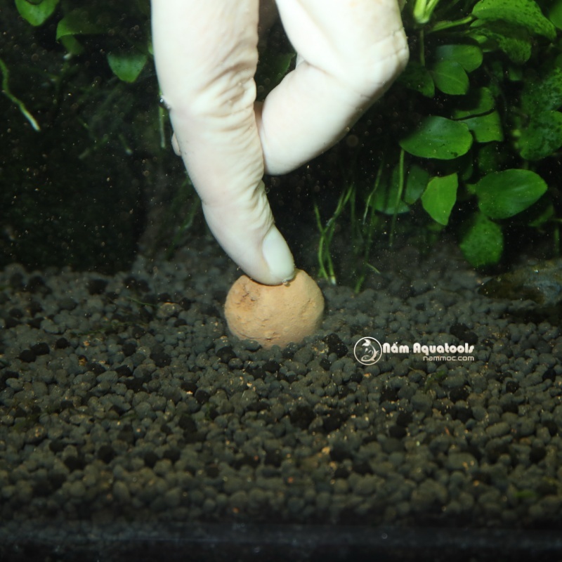 JBL PROFLORA 7+13 Balls | Phân Nhét Gốc JBL - Dùng Cho Bể Cá Thuỷ Sinh (Hộp 20 viên)