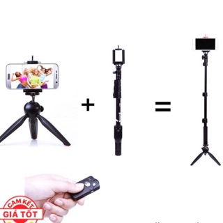 Combo gậy chụp hình tự sướmg YT1288 và Chân Tripod mini YT228