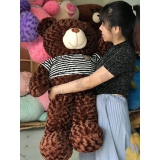 GẤU TEDDY (80cm) THÚ NHỒI BÔNG TEDDY GIÁ RẺ
