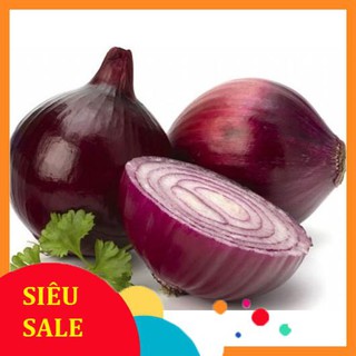 Hạt Giống Hành Tây Tím (300 Hạt) - [MUA 3 TẶNG 1 CÙNG LOẠI] - Giàu Dinh Dưỡng , Năng Suất Cao