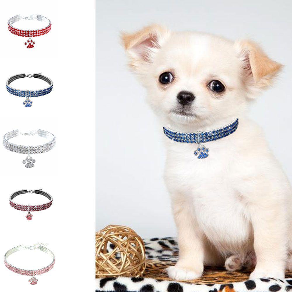 Vòng Cổ Nhiều Màu Sắc Hình Dấu Chân Chó Mèo Mới