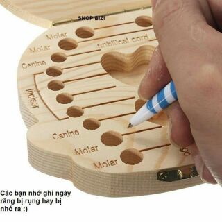 Hộp đựng răng sữa, tóc máu, cuống rốn cho bé yêu