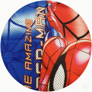 Bộ Siêu Nhân Nhện có cánh