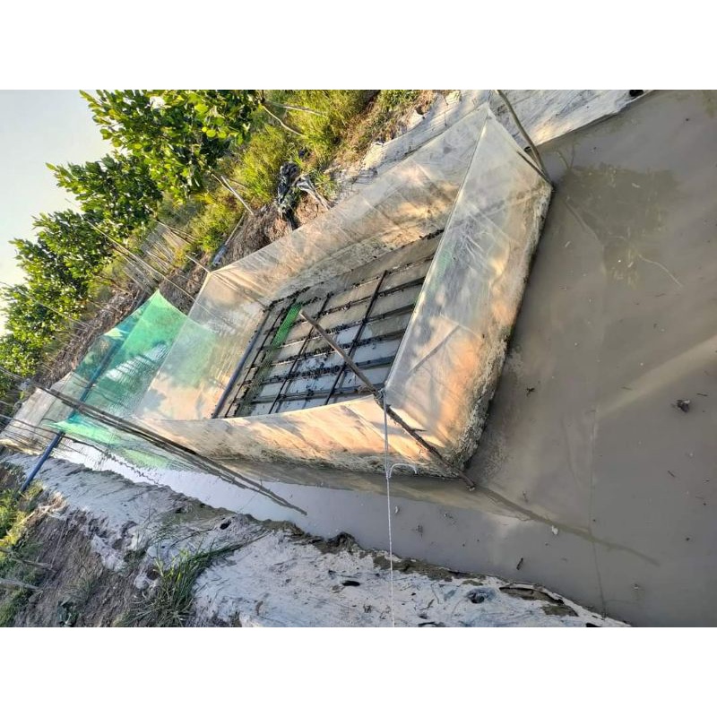 Tráng lưới nuôi ốc , ếch cá 3x2x1 ( Máy 2 đường chỉ )