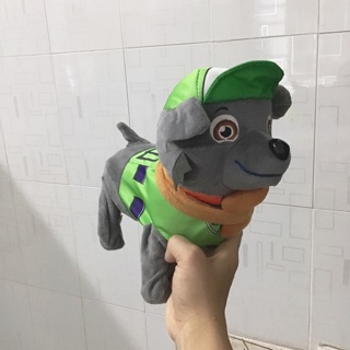 Chó biết đi biết hát