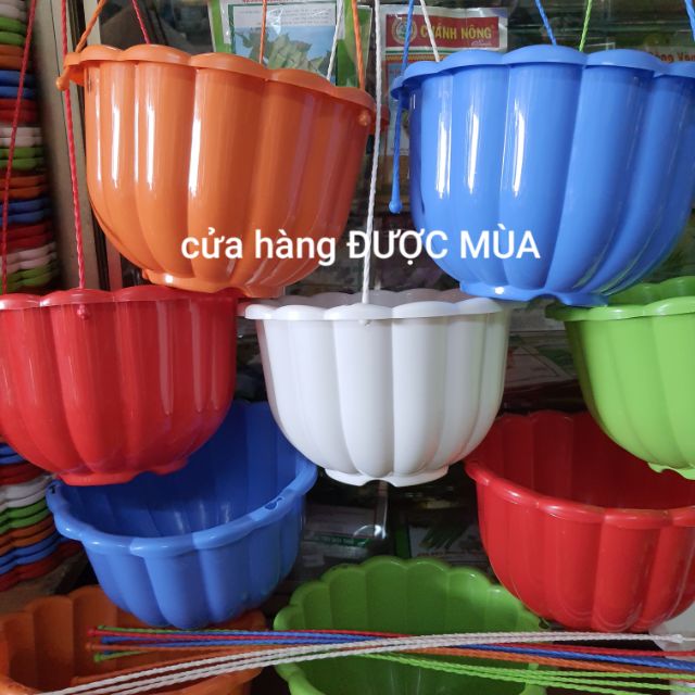 Bán sỉ 50 chậu treo bí đk 22cm