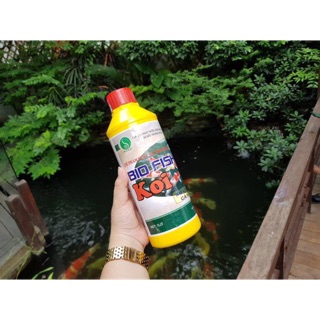 Men vi sinh tươi cho hồ cá koi BIO FISH