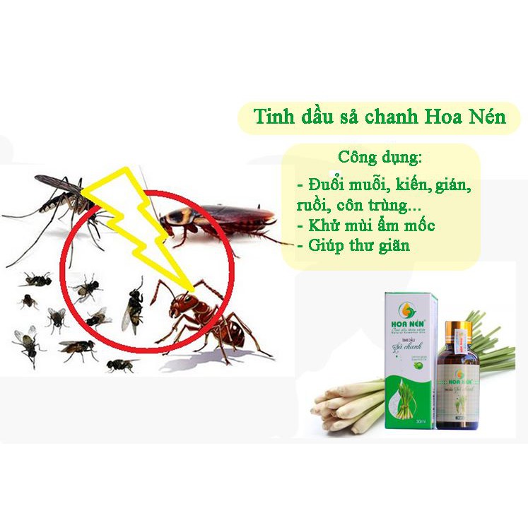 Tinh dầu Sả Chanh 3ml - Hoa Nén - Đuổi muỗi, khử mùi - Tinh dầu xông phòng