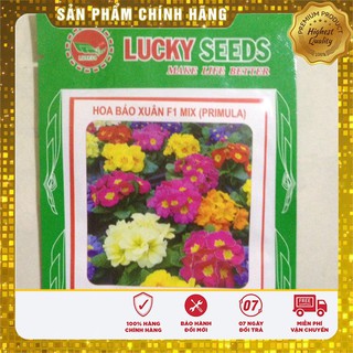 Hạt Giống Hoa Báo Xuân -50 hạt