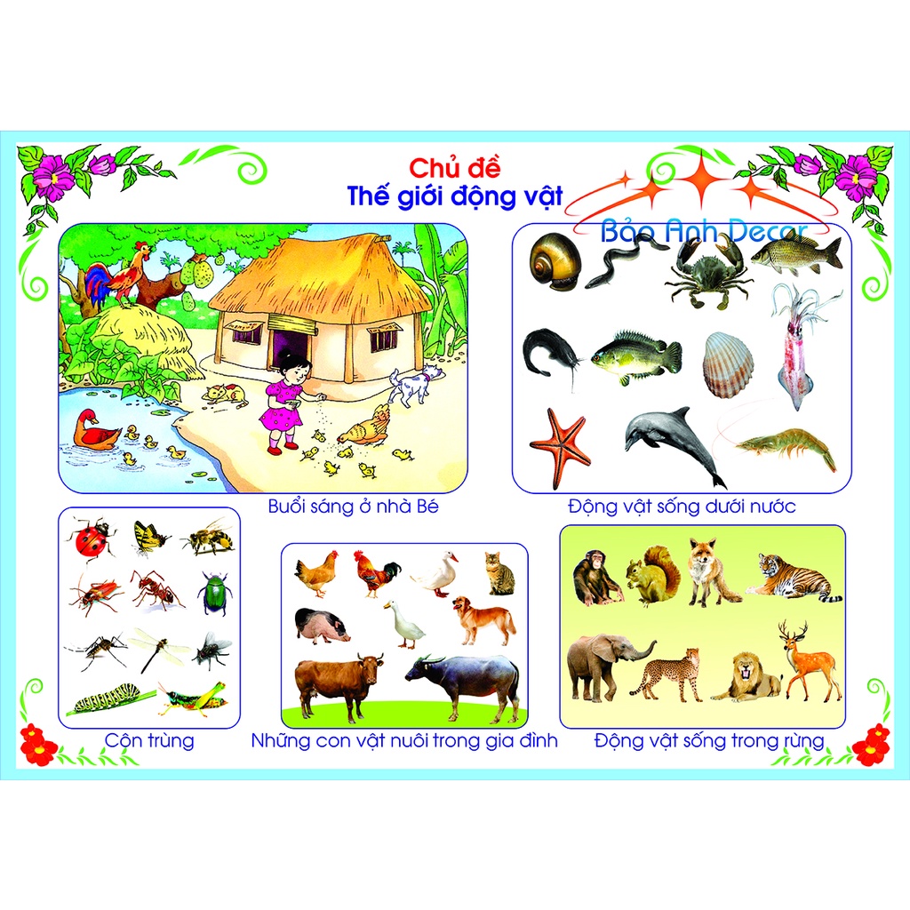Tranh decal Dán Tường cho bé - Tranh Dán đủ các hình giúp bé phát triển