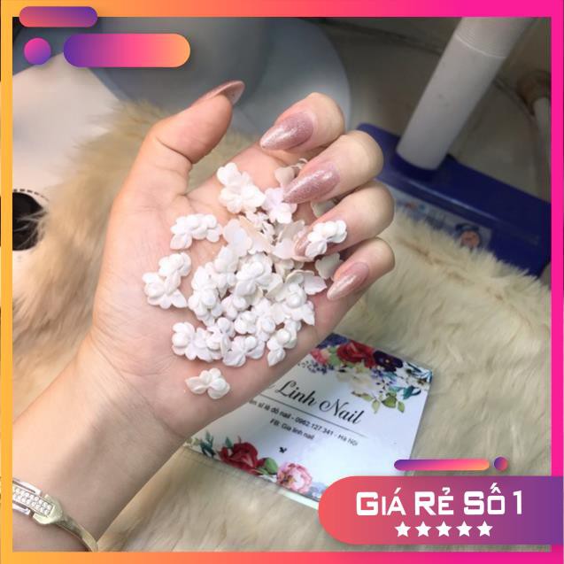 Hoa bột nail ( set 2 bông)