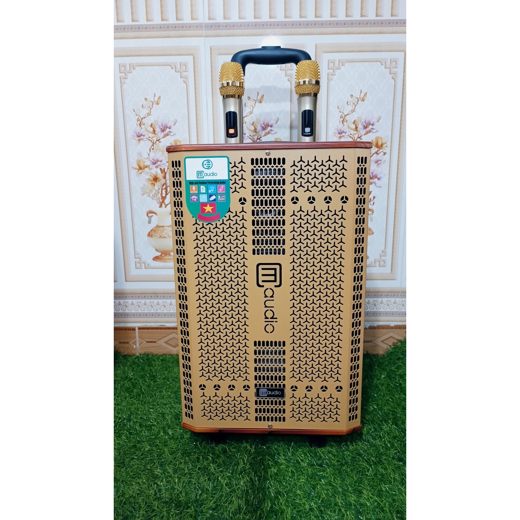 Loa kéo di động blutooth CM audio k10 bas 25 thùng gỗ 2 tay míc