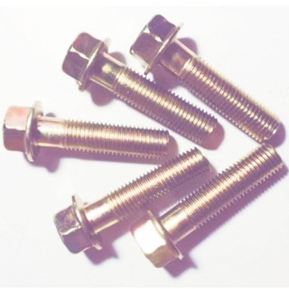 Ốc tăng phuộc, sọ khỉ - 10Ly ...