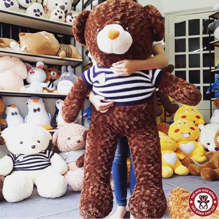 Gấu bông Teddy Cao Cấp khổ vải 1.4m Cao 1.2m Hàng Việt Nam Xuất Khẩu- AEO