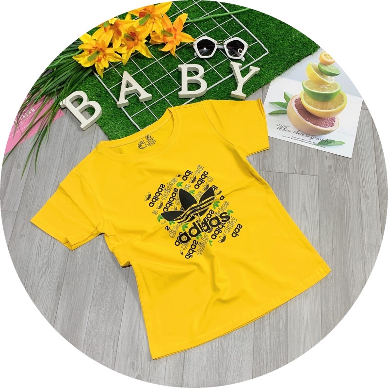 Áo bé trai Dobikids thun cotton SG loại 1 đẹp co giãn mềm mát (9-25kg)