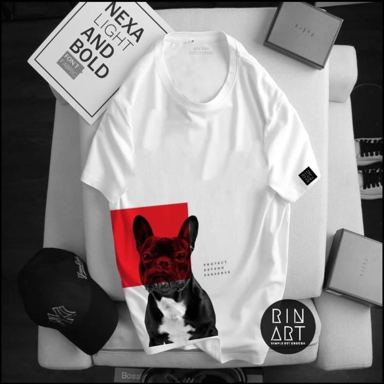 ALBUM 1381 - ÁO THUN UNISEX COTTON BULL DOG NHIỀU MÀU
