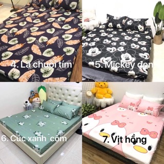 Bộ ga - gối cotton poly