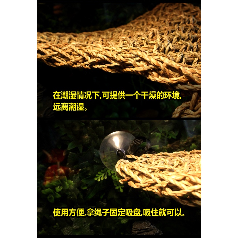 Võng trang trí dành cho bò sát, thú cưng