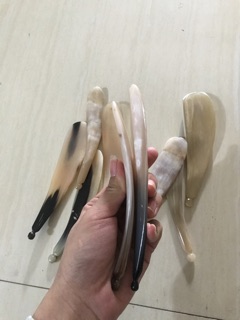 Cạo Gió Sừng diện chẩn