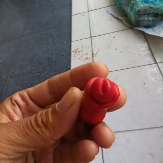 hạt Ớt peter ( ớt cu tí)