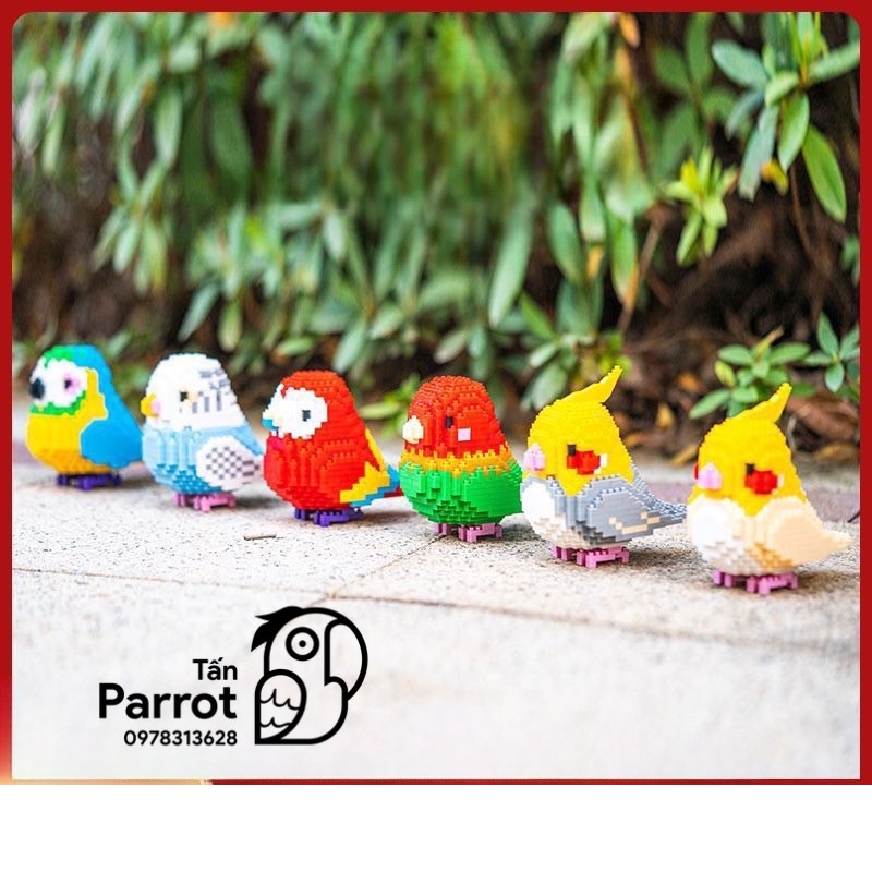 Lắp ráp Lego hình vẹt cao cấp