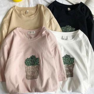 Áo phông unisex thun cotton  đẹp