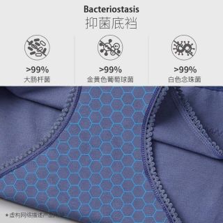 Quần chip cotton phối ren gen bụng