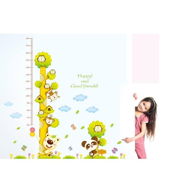 decal đo chiều cao
