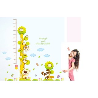 Decal đo chiều cao